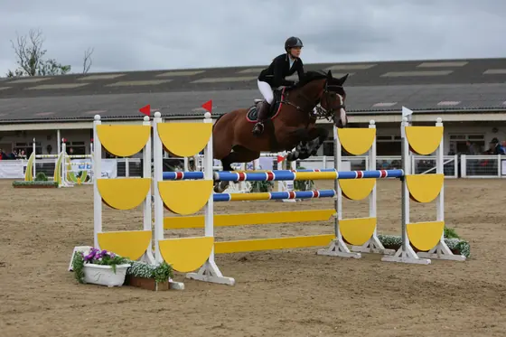 A bay jumping a yellow and white oxer