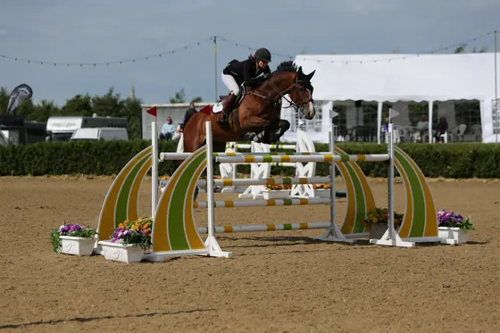 A bay jumping a fence with yellow and green arches