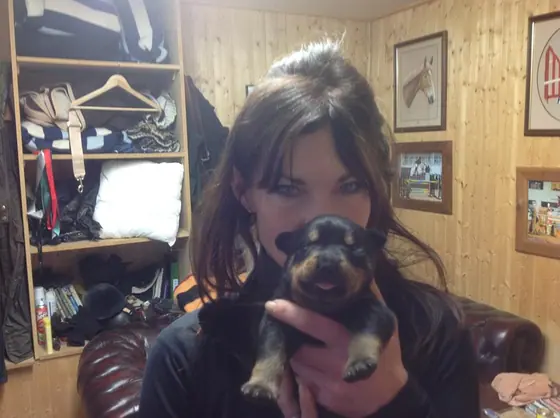 Holding a Rottweiler puppy in the tack room