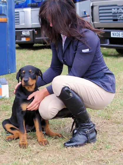 Making a fuss of a Rottweiler puppy at a show